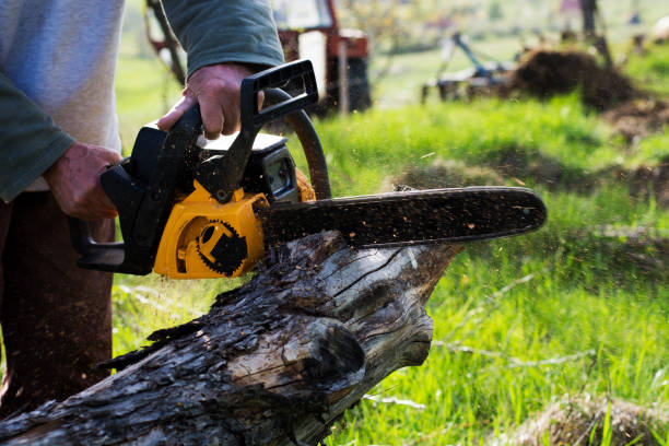 Best Lawn Watering Services  in Mcclure, PA